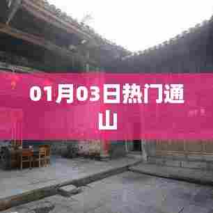 通山热点速递,01月03日热门资讯一网打尽