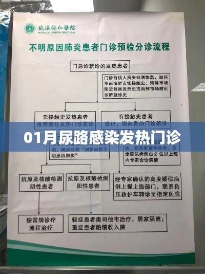尿路感染发热就诊指南
