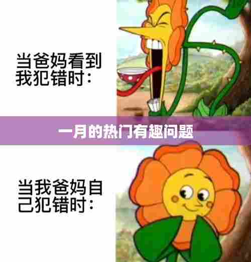一月热门趣味问题盘点