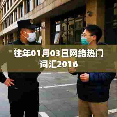 网络热门词汇盘点,回顾2016年一月三日风潮词汇