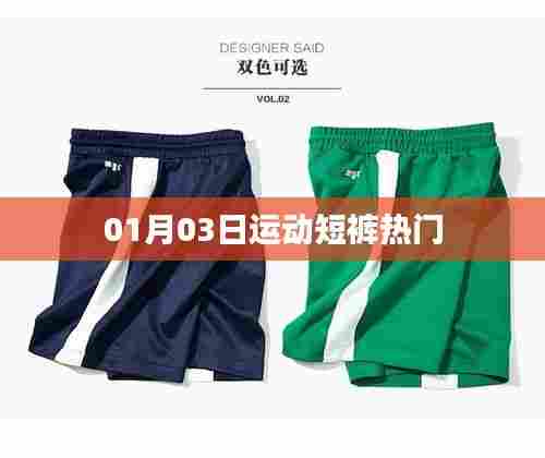 运动短裤热门趋势解析(日期,01月03日)