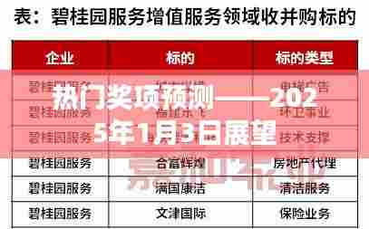 热门奖项预测,未来展望展望(展望日期,XXXX年)