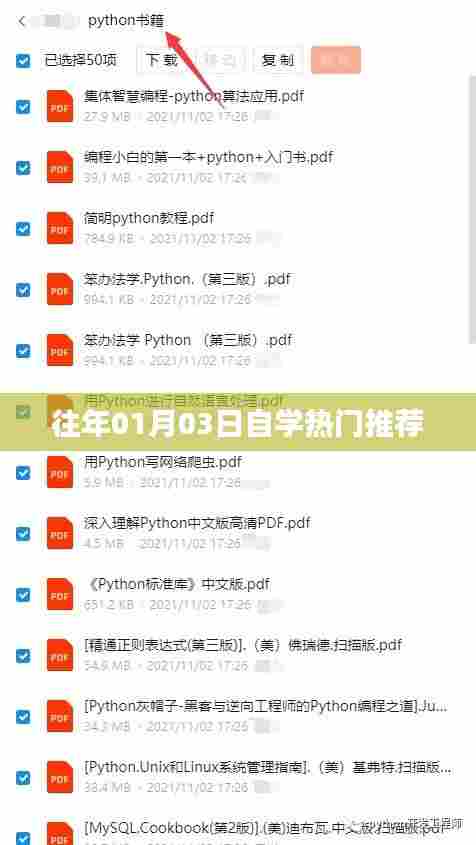 往年元旦后自学热门推荐