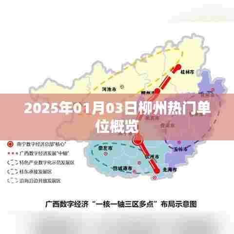 2025年柳州热门单位概览,职场风向标