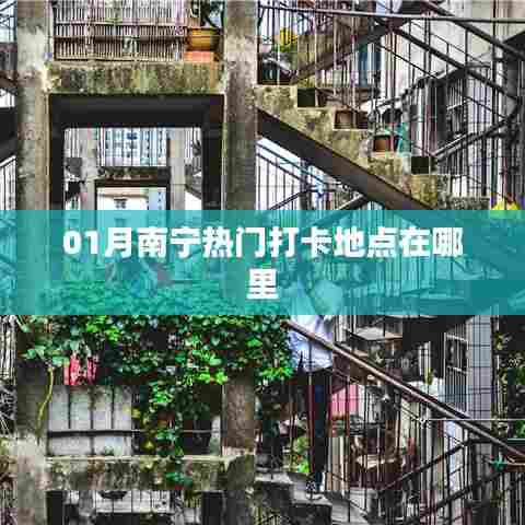 羽扇纶巾 第3页