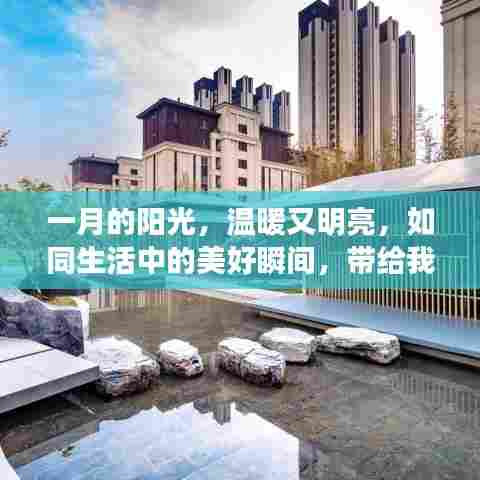 一月阳光温暖,热门欢快文案展现活力,迎接美好瞬间