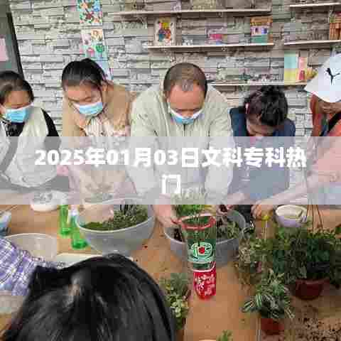 2025年文科专科热门专业展望