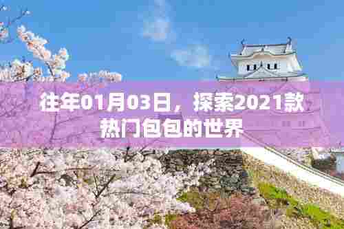 探索时尚新潮流,2021款热门包包流行趋势分析