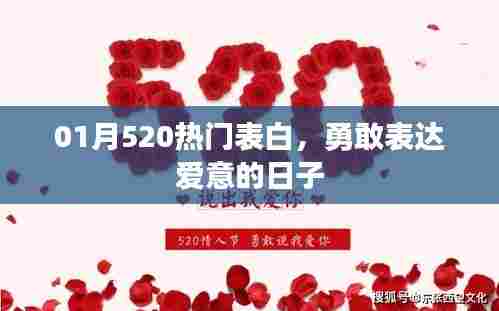 一月520表白高峰,勇敢说出你的爱