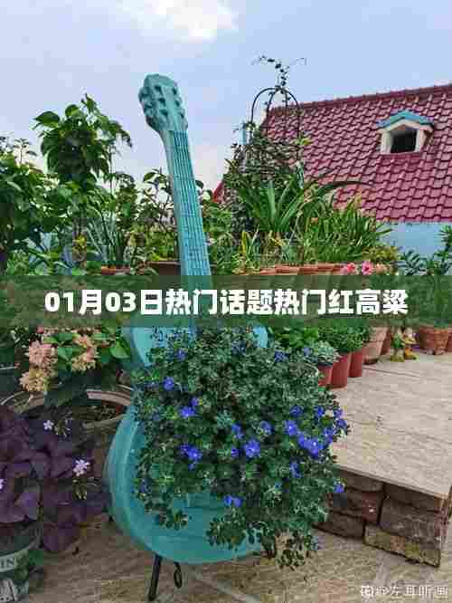热门红高粱，01月03日热议话题