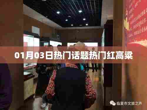 热门红高粱,01月03日热议话题