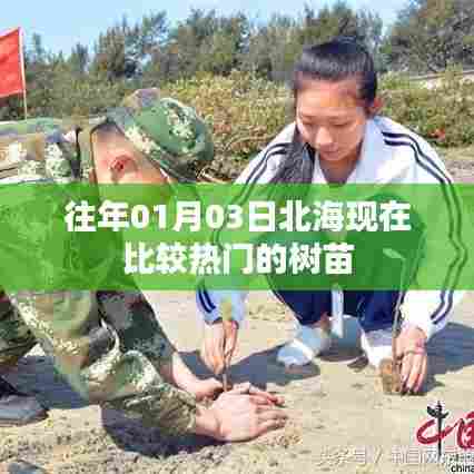 集腋成裘 第2页