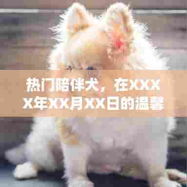热门陪伴犬,温馨伙伴的守护时刻