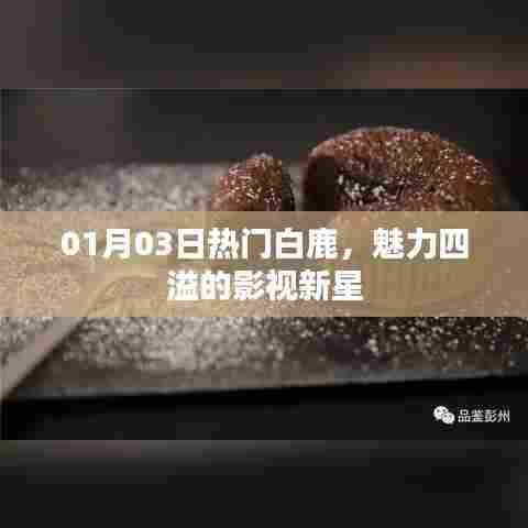 白鹿,影视新星魅力闪耀,01月03日备受瞩目