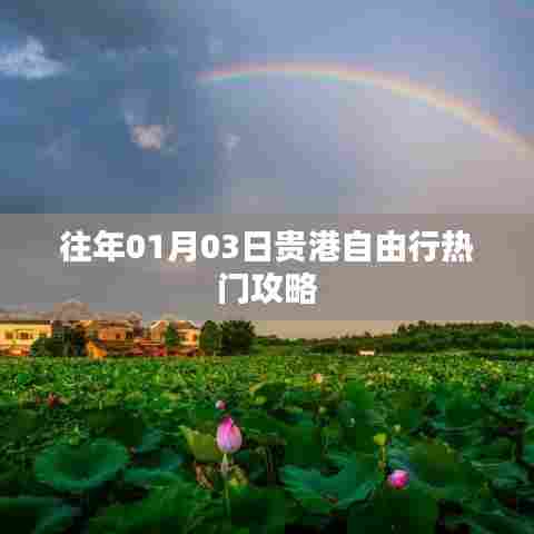 贵港自由行热门攻略，揭秘历年元旦出行秘籍