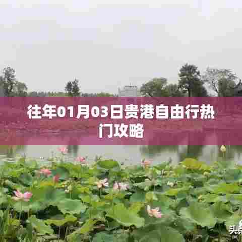 贵港自由行热门攻略,揭秘历年元旦出行秘籍