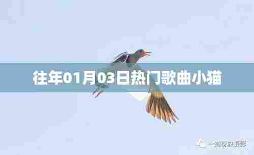 『历年元旦热门歌曲,小猫之歌』