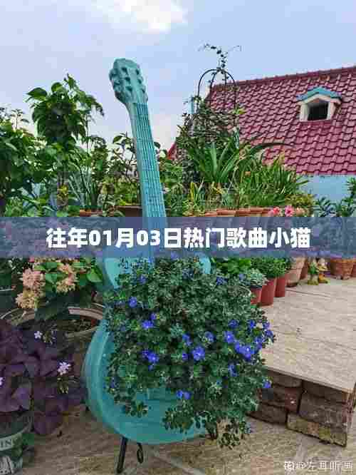 『历年元旦热门歌曲,小猫之歌』