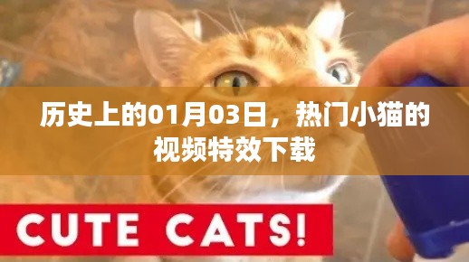 热门小猫视频特效下载,历史日期揭秘