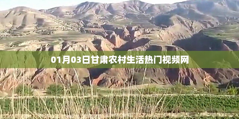甘肃农村生活热门视频网最新动态