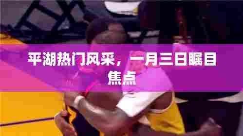 平湖风采瞩目日,一月三日的焦点