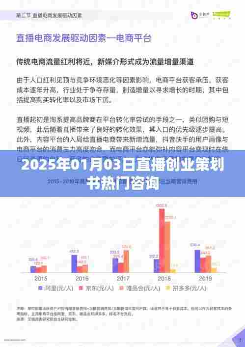 直播创业策划书,热门咨询与未来展望(2025年)