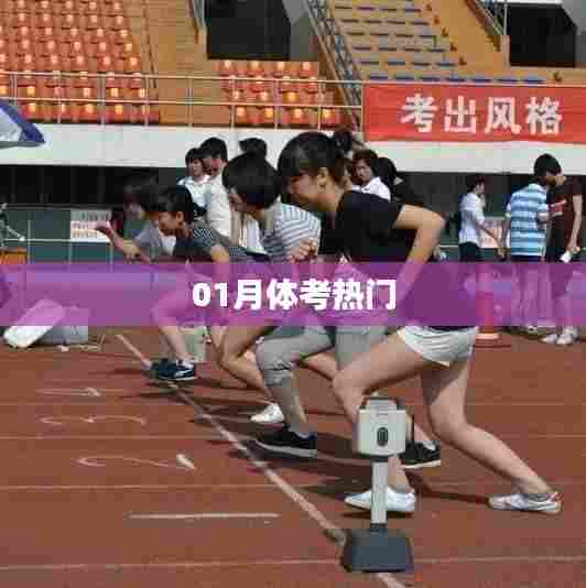 最新体考热点动态,一月关注热门资讯!