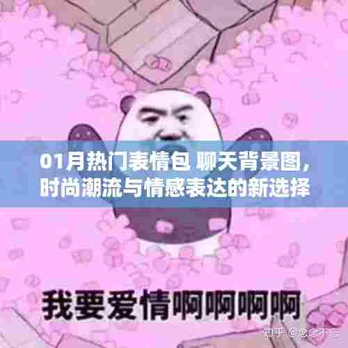 热门表情包与时尚背景图,情感表达新潮流