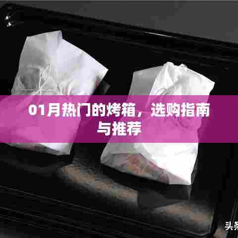 1月热门烤箱选购攻略,指南与推荐