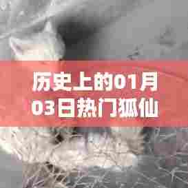 热门狐仙历史揭秘，一月三日的重要时刻