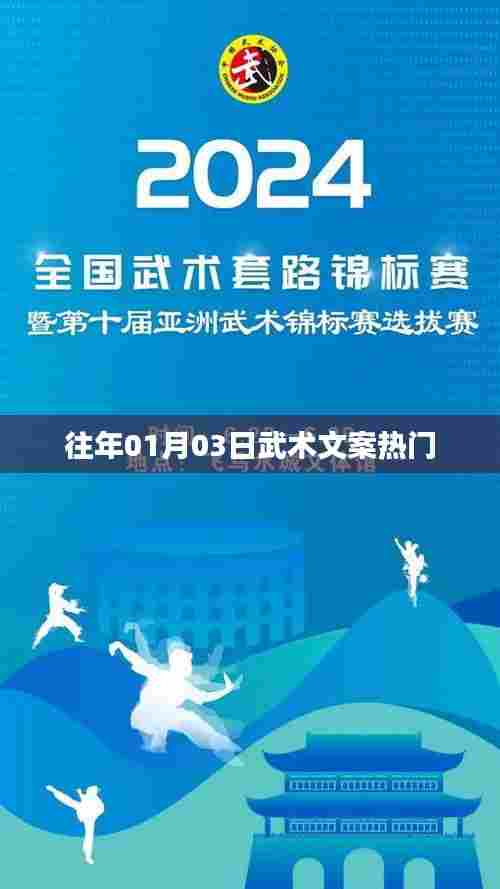 武术文化魅力揭秘，历年热门文案回顾