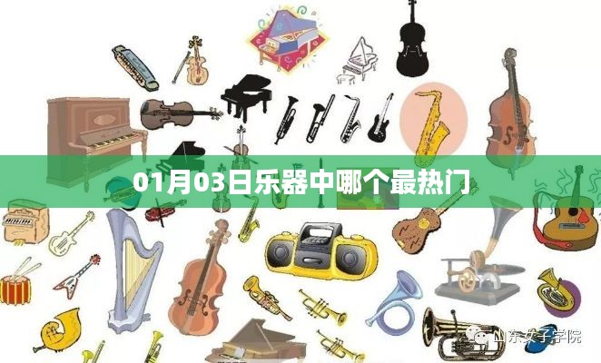 热门乐器趋势观察,一月三大热门之选