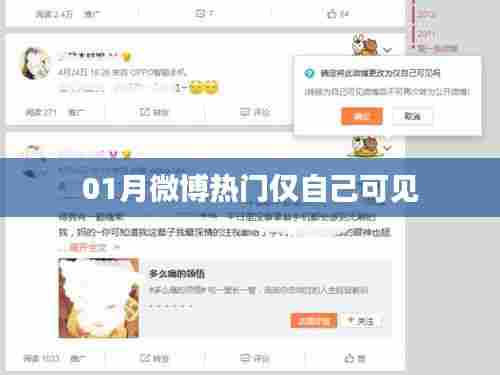 微博热门话题一月回顾,仅自己可见的那些事