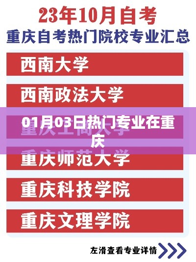 重庆热门专业动态,最新趋势解析
