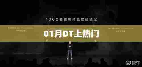 DT热门趋势揭秘,一月热议焦点