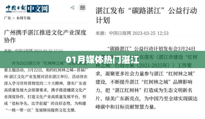 湛江媒体热门事件回顾，一月份热点聚焦