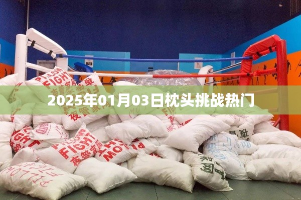 枕头挑战持续火热,揭秘背后的故事,日期,2025年1月3日