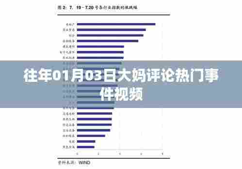 大妈评论热门事件视频回顾