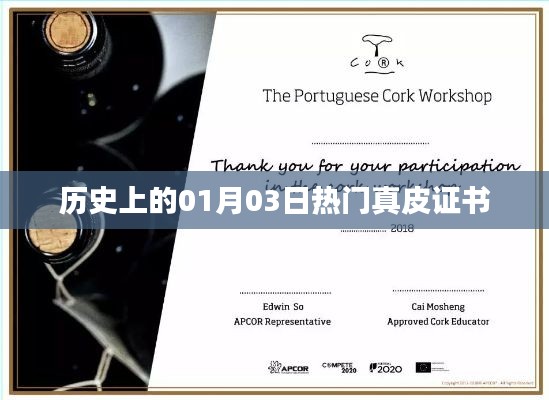 历史上的热门真皮证书,一月三日回顾与解析