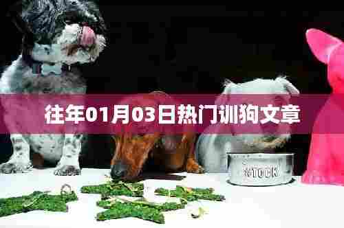 精选热门驯狗文章，从入门到进阶的秘籍