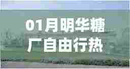 月明华糖厂自由行攻略大全