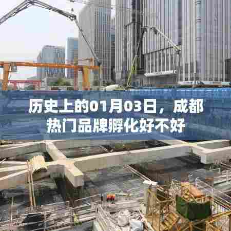 成都热门品牌孵化历程,一月三日的历史见证