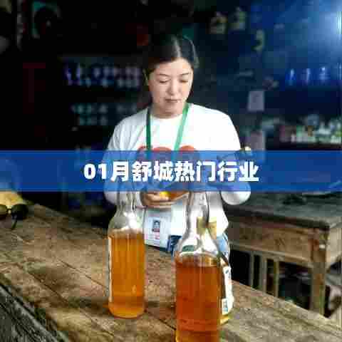 舒城热门行业一月份动态