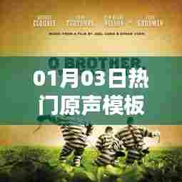 热门原声模板大揭秘,最新动态一网打尽(01月03日)