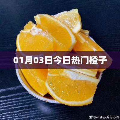 橙子热潮,最新热门橙子资讯一网打尽!