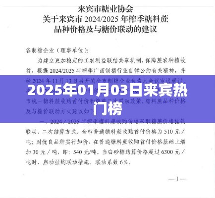 『2025年1月3日来宾热门榜单揭晓』