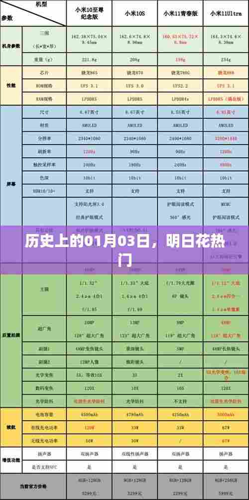 明日花的历史时刻,探寻01月03日的足迹