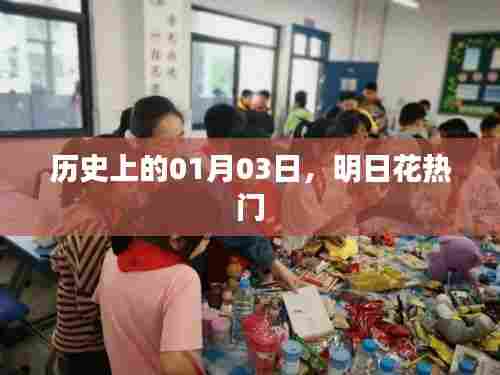 明日花的历史时刻,探寻01月03日的足迹