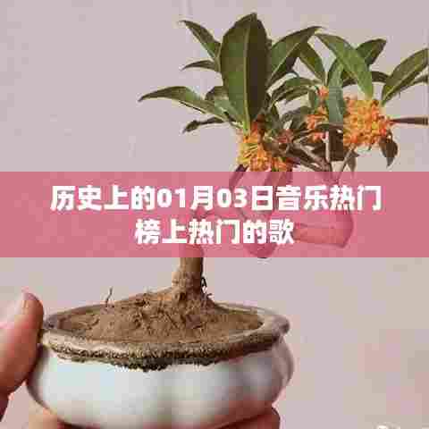 1月3日音乐热门榜经典歌曲回顾