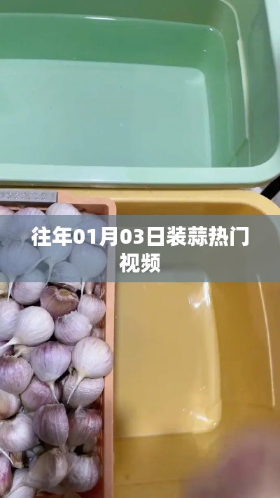 『往年元旦后装蒜热门视频回顾』